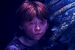 aquamentia:  harry potter parallels [1/?] 