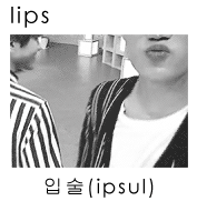 jongxuns:  body appreciation: kim jongin (insp)