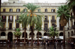 allthingseurope:  Barcelona, Spain (by ira bondar)    	