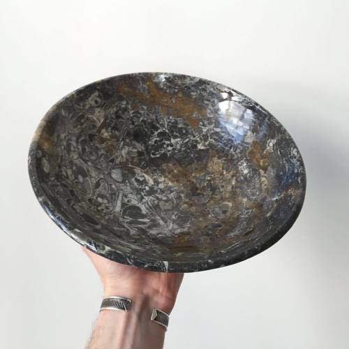 #fossil bowls #fossilsforsale by nature, crafted by #thefossilstore come see our selection of amazin