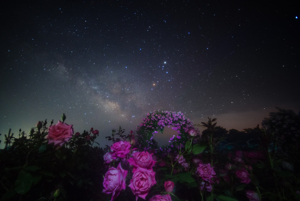 quiet-nymph:Photography  by masahiro miyasaka on Flickr