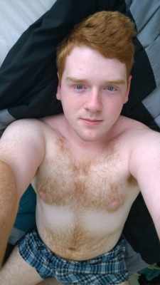 gingerobsession:  STOP WHATEVER YOU’RE DOING AND LOOK AT THIS GINGERBut don’t faint just yet.Now read what he posted along with this pic:realhousewivesofhighgarden:  I was feeling cute this morning.  Now tell me: would there ever be a way for this