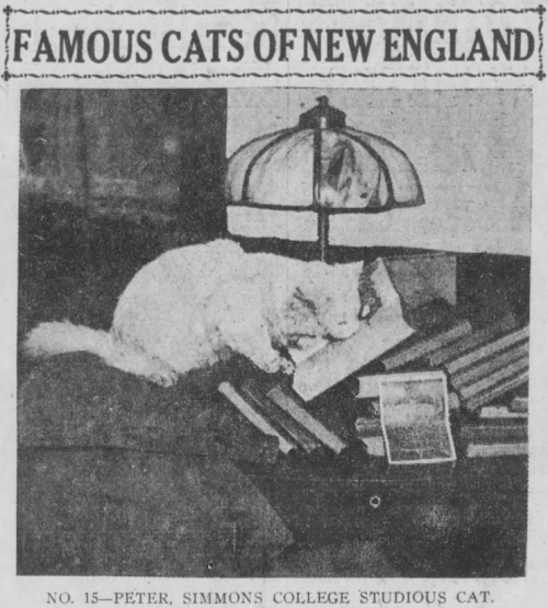 yesterdaysprint: Boston Post, Massachusetts, December 23, 1920 