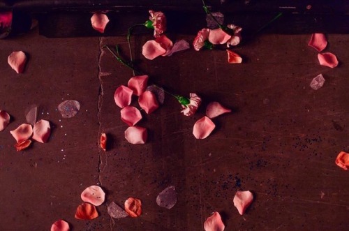 harrystylesdaily: Petals that were on the ground of the catwalk in Sacramento. (via helenepambrun)