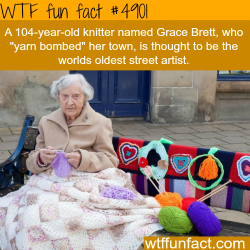 wtf-fun-factss:  This 104-year-old knitter “yarn bombed” her town - WTF fun facts   