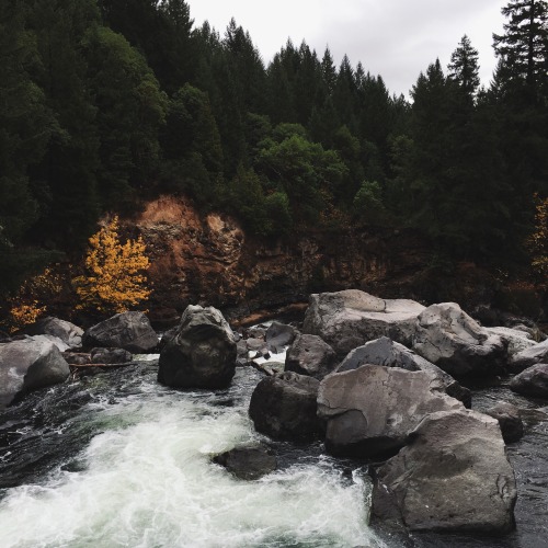 iwokeupthisway:  Prospect, Oregon. 