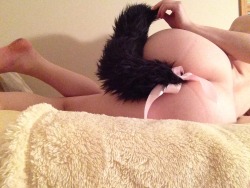 comatosekitten:Meow, mreow! I love my tail