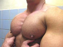 Muscle Bear