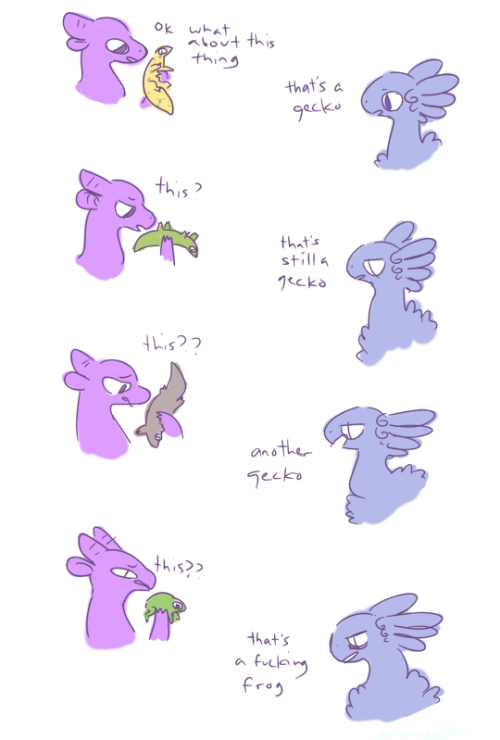 snowysaur:  someone teach these dragons biology   x3