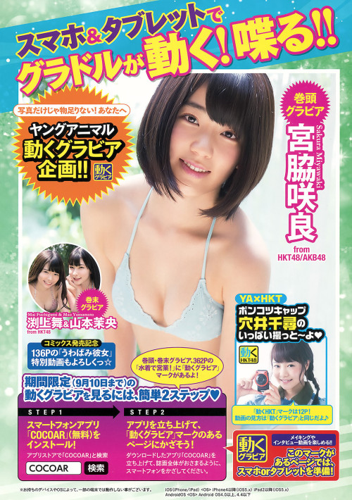 voz48reloaded:  「Young Animal」 No.17 2015