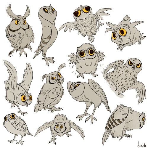 katwylder:kisskicker:doingwell:It’s been far too long since I’ve posted an owl, or a dozen.HELPinoni