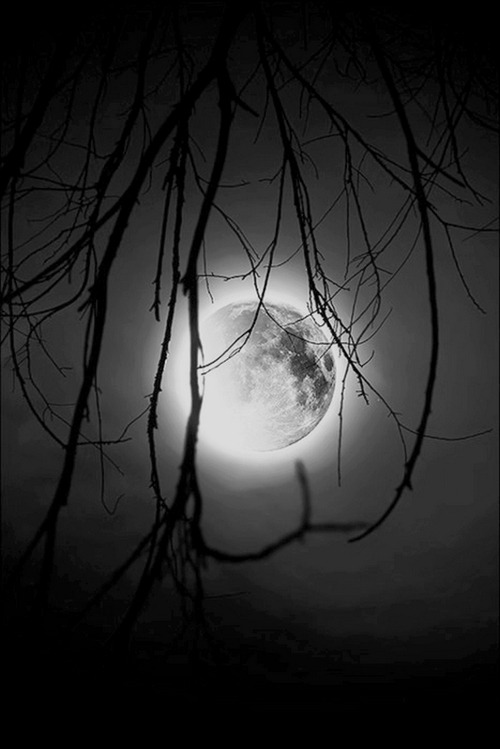 horusmythss:Şuradaki VARNƱAK | via Tumblr: We Heart It