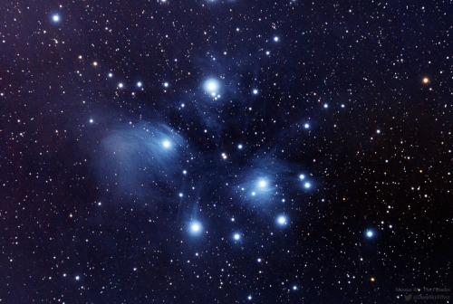 alicemeetsrabbit:just–space:The Pleiadesjs