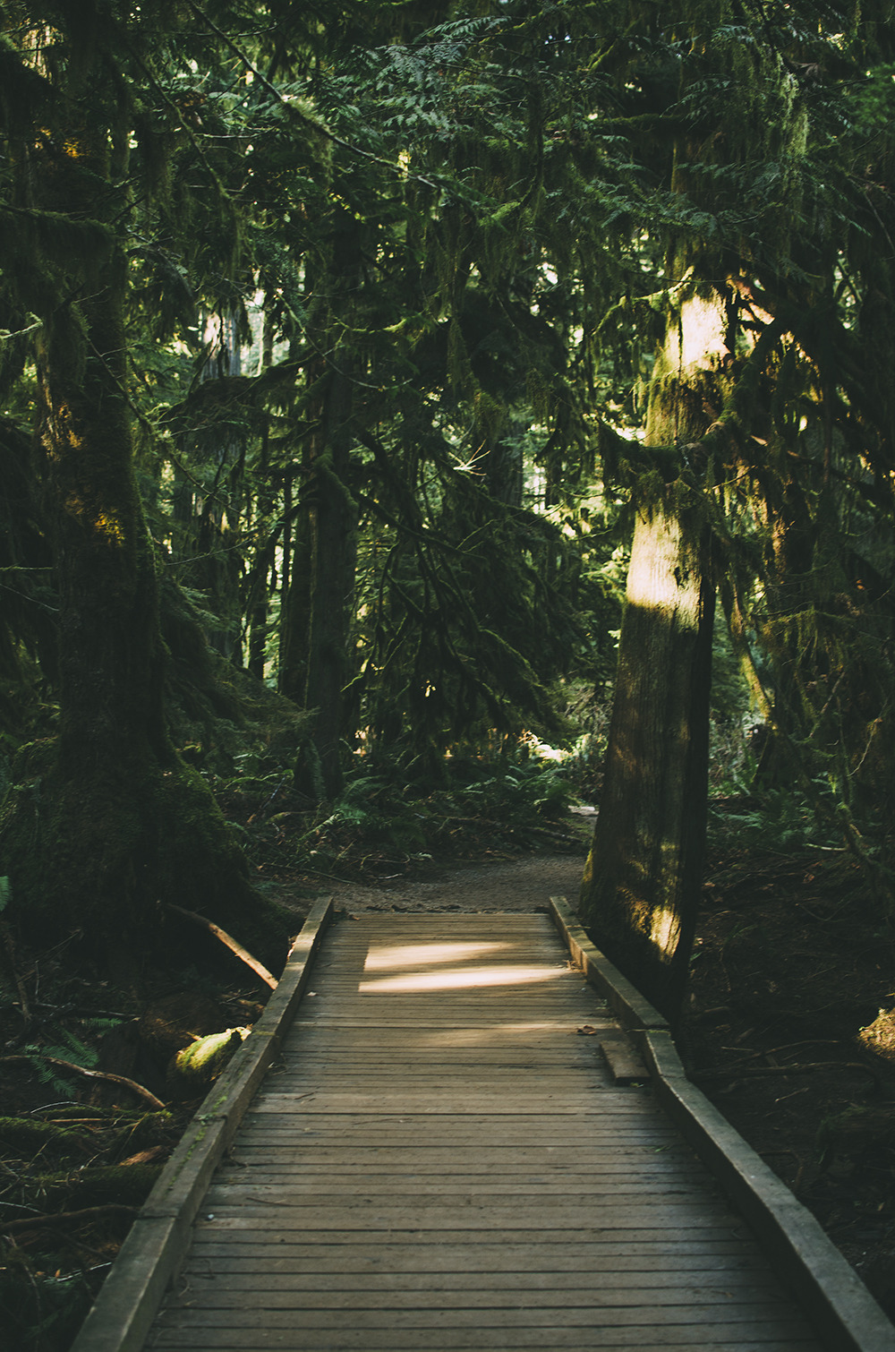 deeplovephotography:  instagram | flickr | facebook 