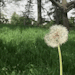 cottageaesthetic:
