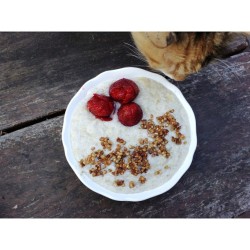 luluwebs:  Trying something new this morning. Somebody else is interested too! {buckwheat porrij and maple flax buckinis from @siobhano_ + poorly made rose strawberries} 🌿  Back when I put an effort into my meals