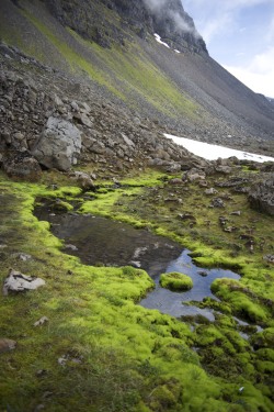 l0thl0rien:  paganroots:  Iceland by Paulsonandlaura   ◊~Enter this Middle Earth~◊