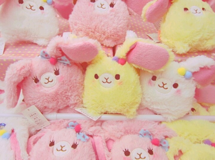 kawaiishopping:  Arpakasso
