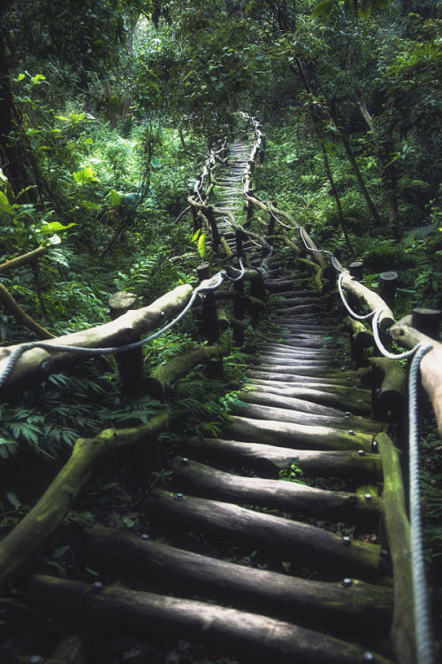drxgonfly:The Abandoned Path (by Hanson Mao(毛延延))Taichang, Taiwan