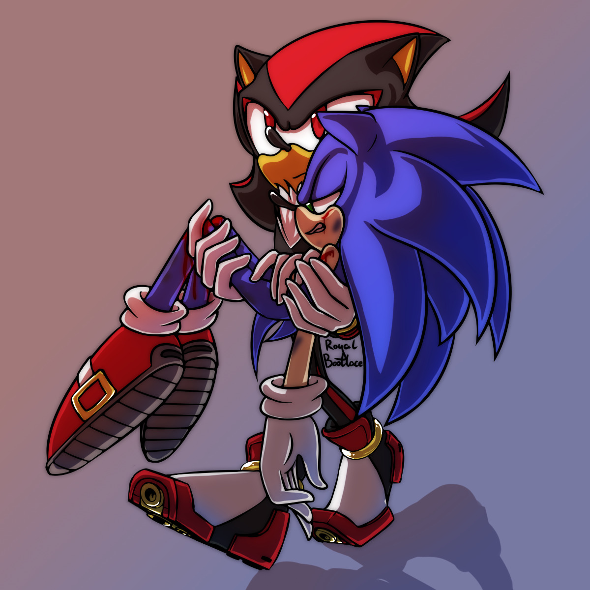 Last Post Of The Day) Shadow With His New Style Shoes by sonicyemen