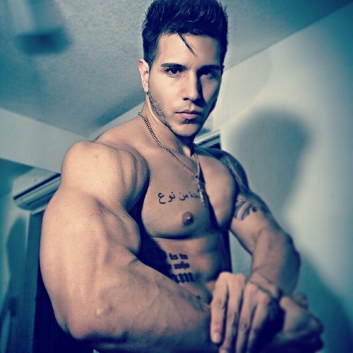 musclemex:   Alan Valdez 