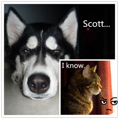 Eric&Charles  Logan&Scott  Dogs&Cats