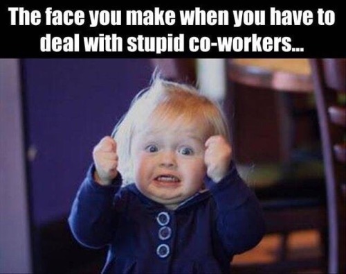 mypeacenchaos:  luvtoplaydirty:  livinlavidavanilla:  This.  Grrrr 😛  All day. 