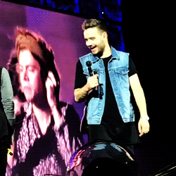whispersbrave:zayn does a little dance and liam finds it really fucking funny (6.24.14)