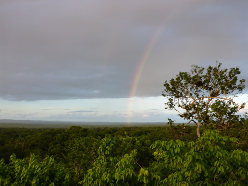 eileenkphotography:  One of My Best Moments in Guatemala ~ Eileen Kitayama 2015