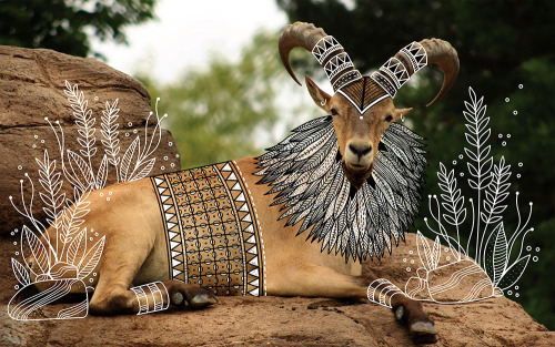 itscolossal: Decorative Costumes Illustrated on Animal Photos by Rohan Sharad Dahotre