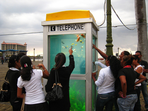 ex0skeletal: (via Benedetto Bufalino and Benoit Deseille Repurpose Phone Booths for Aquariums | Hi-F