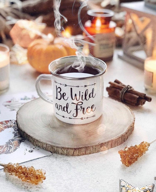 zariest: ig: fallwinterparty  Morning tumblr