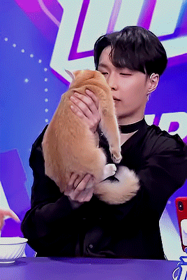 getlayd:yixing brought lulu and luobo to 818 super show