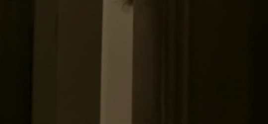 8d6f583dc681e712837cfd5f658a810a41927ff8.gifv