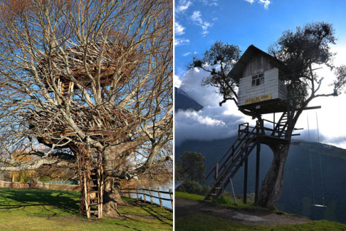 maryjani:  wild-nirvana:  ॐ My Spiritual World☽  Okay who’s gonna live in one of these tree houses with me! Haha;)