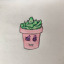 succulents-in-space