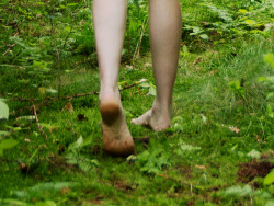 trashedy:  feet / forest 