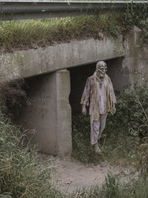 Zombie Cosplay from iconic Lucio Fulci’s film “Zombi 2″ Follow for more! &gt;&gt; https://www.instag