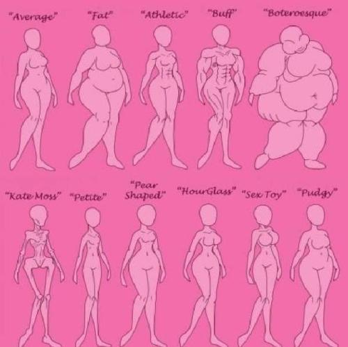 Average body type women