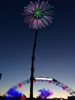 lettuce-rave:  The Electric Daisy 