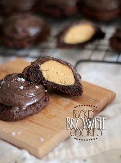 gastrogirl:  buckeye brownie cookies. 