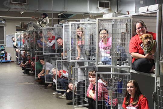 People Who Work With Animals Are Sharing Their Cutest Photos, And We Can’t Get Enough