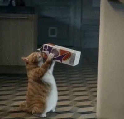 animyuls: