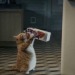 animyuls: