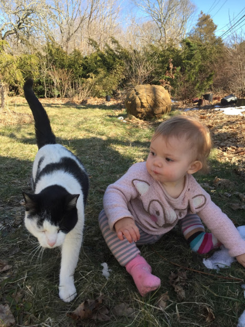 farm baby loves cats and dresses as a fox 