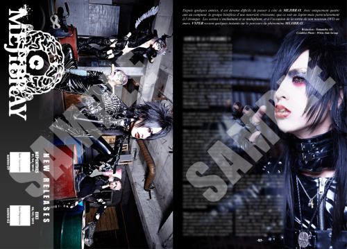 MEJIBRAY will be in the next issue of the french magazine, VYPER Japanese Music.Don&rsquo;t miss