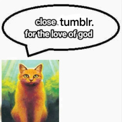 Tumblr media