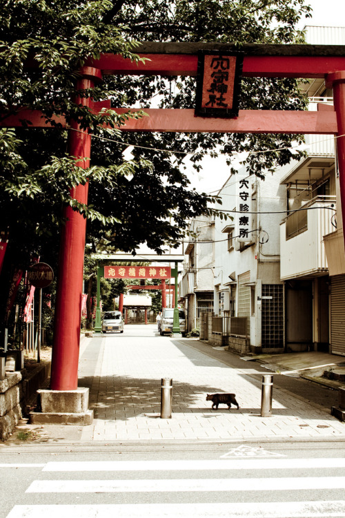 穴守稲荷 Local photowalk at lunchtime. Getting accustomed to framing with the 30mm.By : Coal Miki