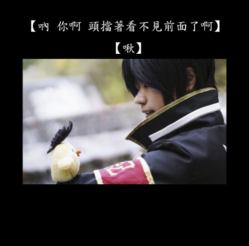 My cosplay of Hibari.Hibado finally find his wife -w-.The coat and Hibado’s hair are made by myself.