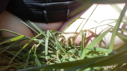 Porn photo alice-is-wet:  Playing in the grass. :3 